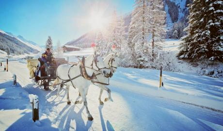 Winterzauber pur – Pferdeschlittenfahrt im Erzgebirge
